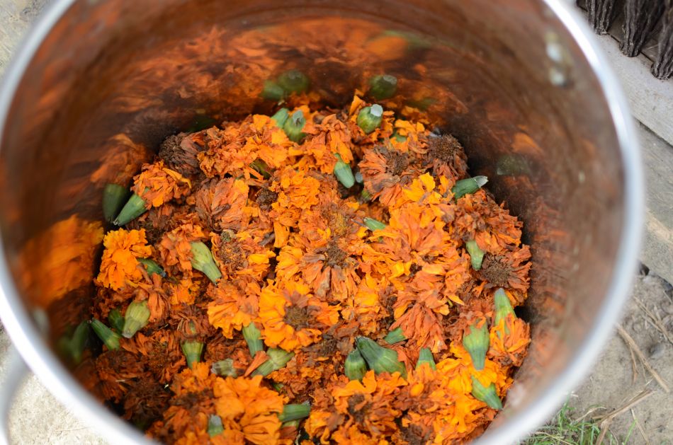 Warm Up With Cozy Winter Wear; Dakota Carding And Wool Company 24 Dakota Carding And Wool