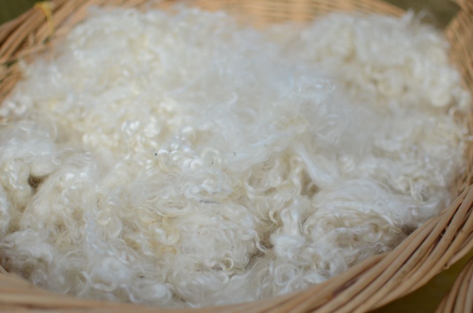 Warm Up With Cozy Winter Wear; Dakota Carding And Wool Company 21 Dakota Carding And Wool