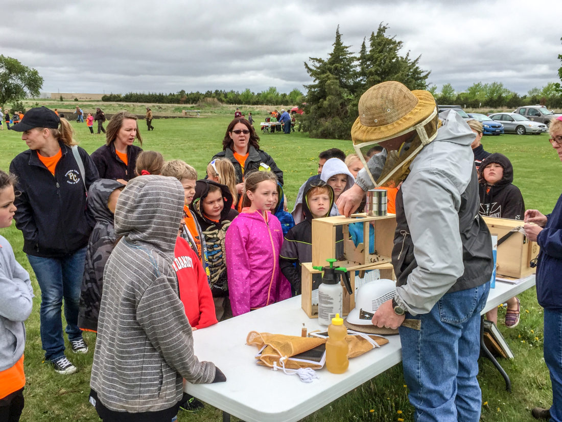 Bee Pollination Program E1525096834961