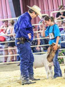 Find Your Fair Story 23 Img 0669