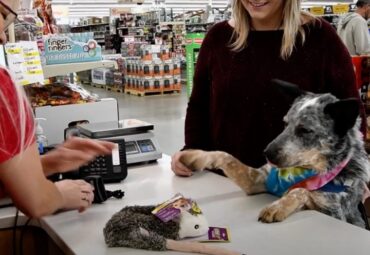 Aberdeen South Dakota Shopping Video Cover%402X