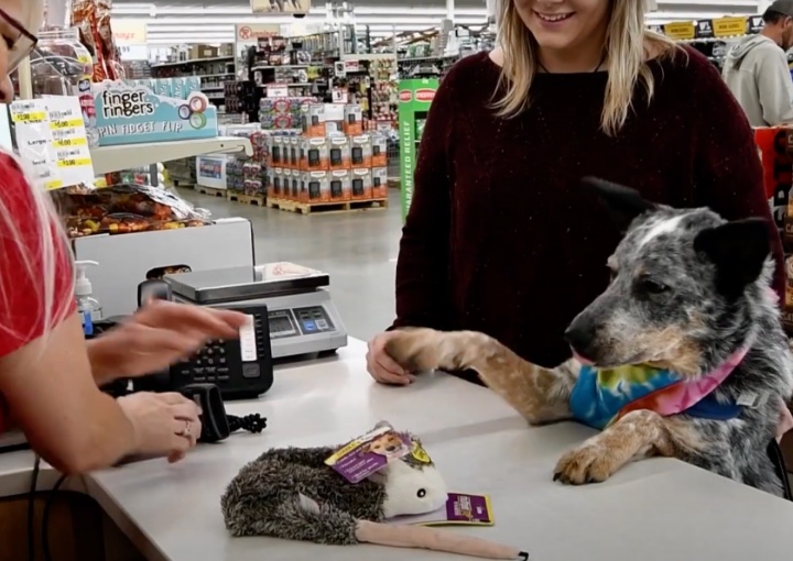 Aberdeen South Dakota Shopping Video