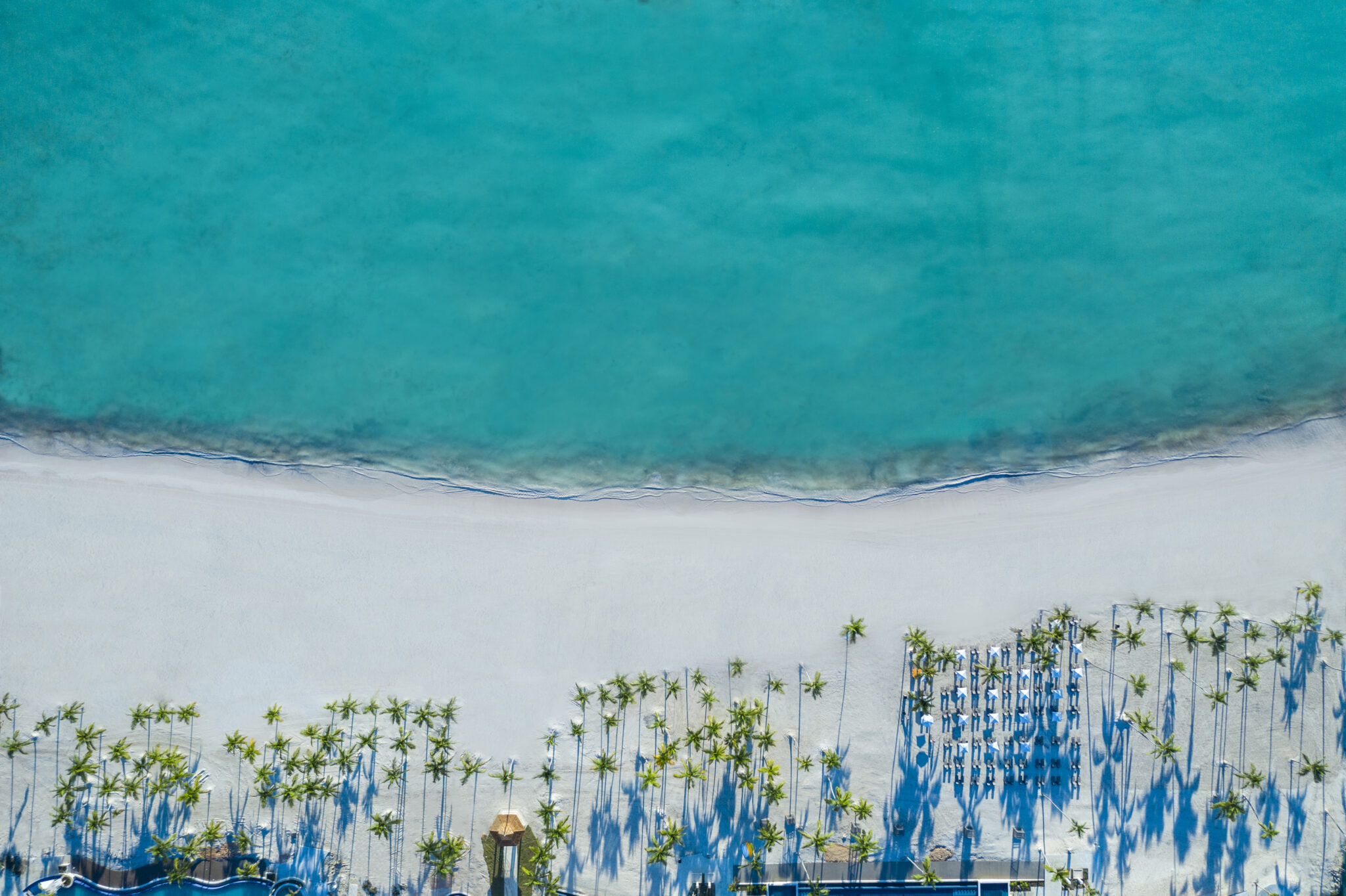 Domrep Hyatt 1 Scaled