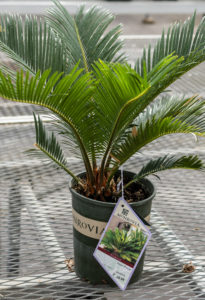 Growing Gifts 17 Am Issue 9 3 Print 4