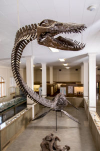 38765851714 2381Ebb38D O