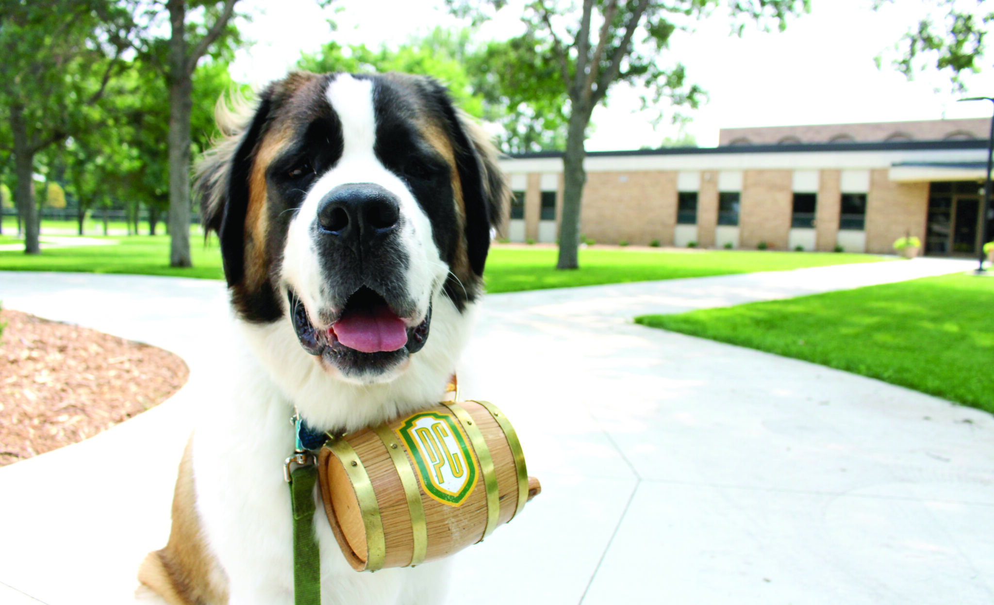 Spirit Academics Scaled