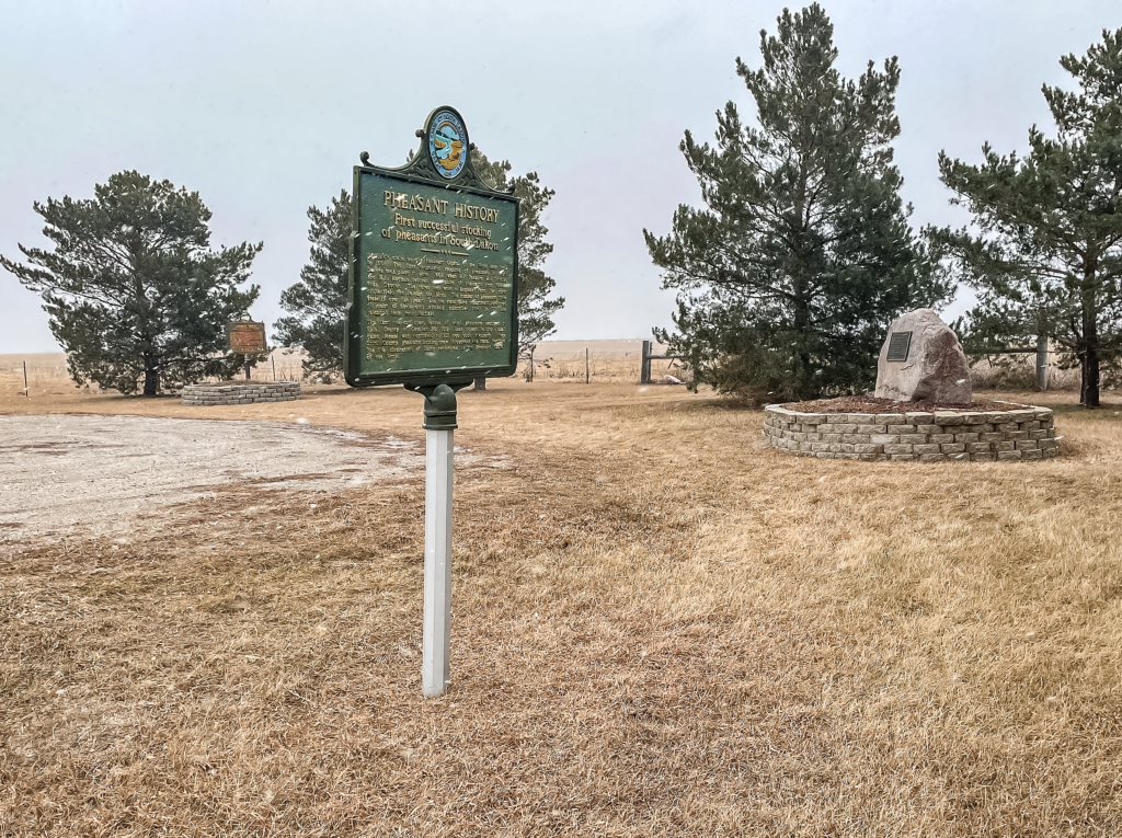 Screen Shot 2022 02 10 At 8.15.11 Am