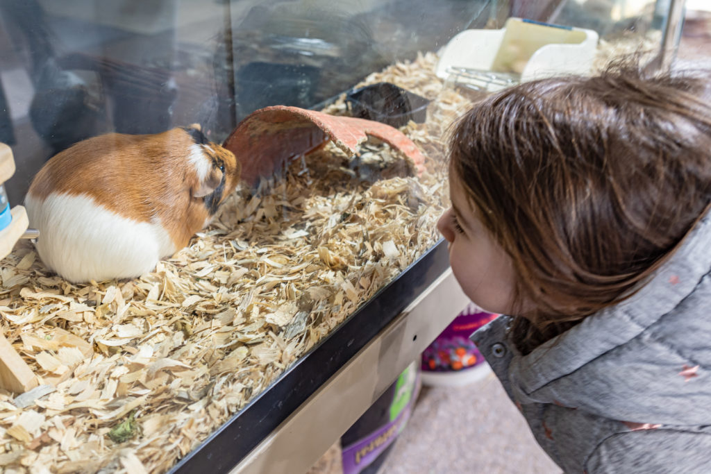 Making A Splash 45 Dsc 4698