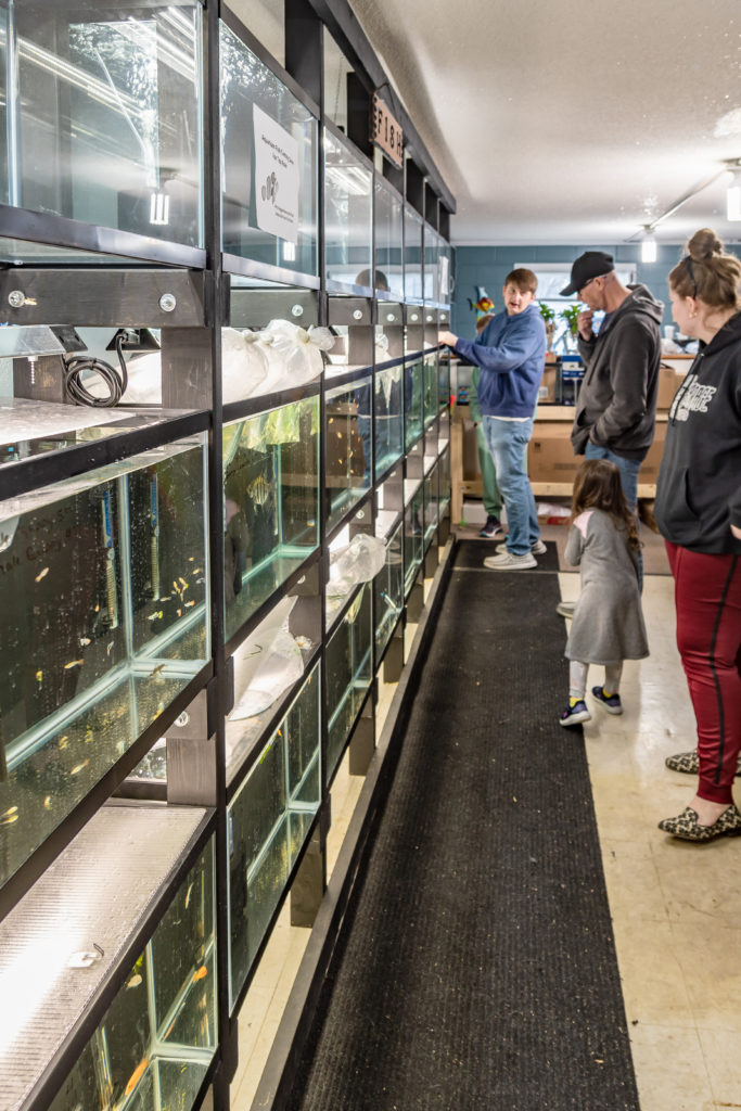 Making A Splash 47 Dsc 4726