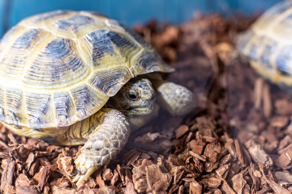 Making A Splash 41 Dsc 4815 1
