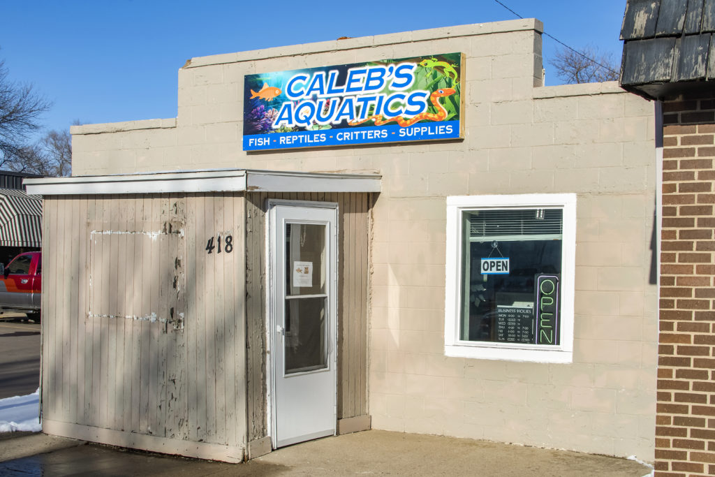 Making A Splash 39 Exterior