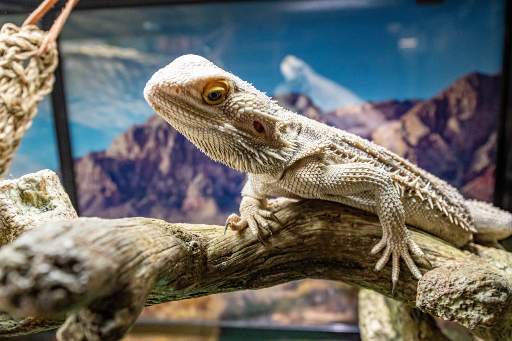 Making A Splash 40 Dsc 4894