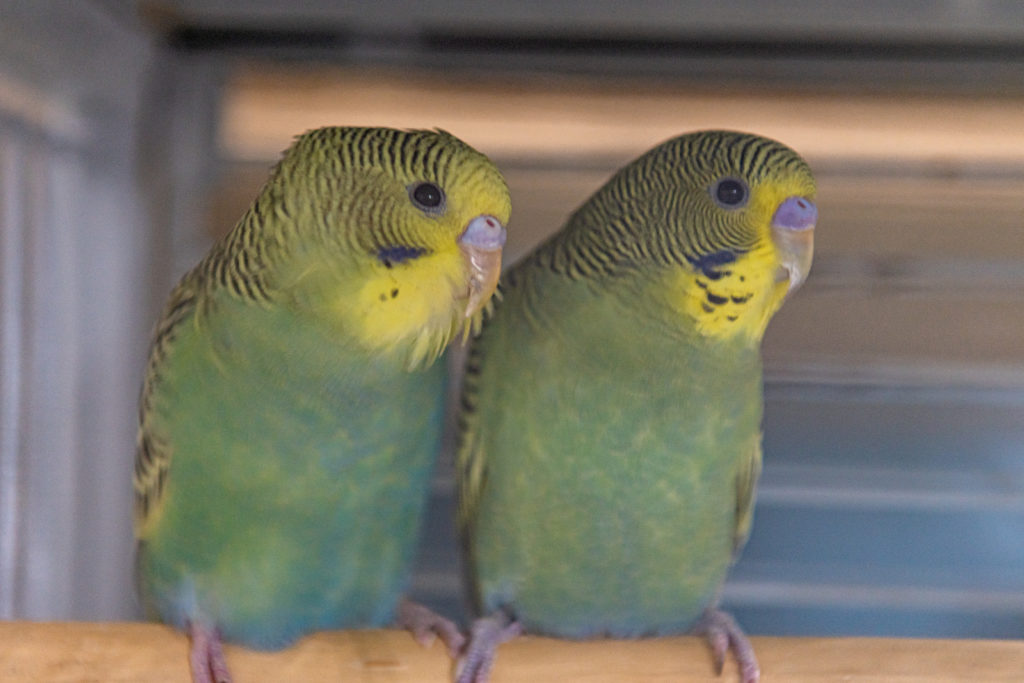 Making A Splash 46 Dsc 4746