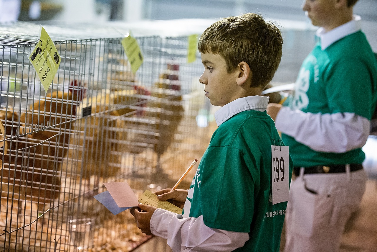 I Z7D8Cgt X3 Enhanced Large