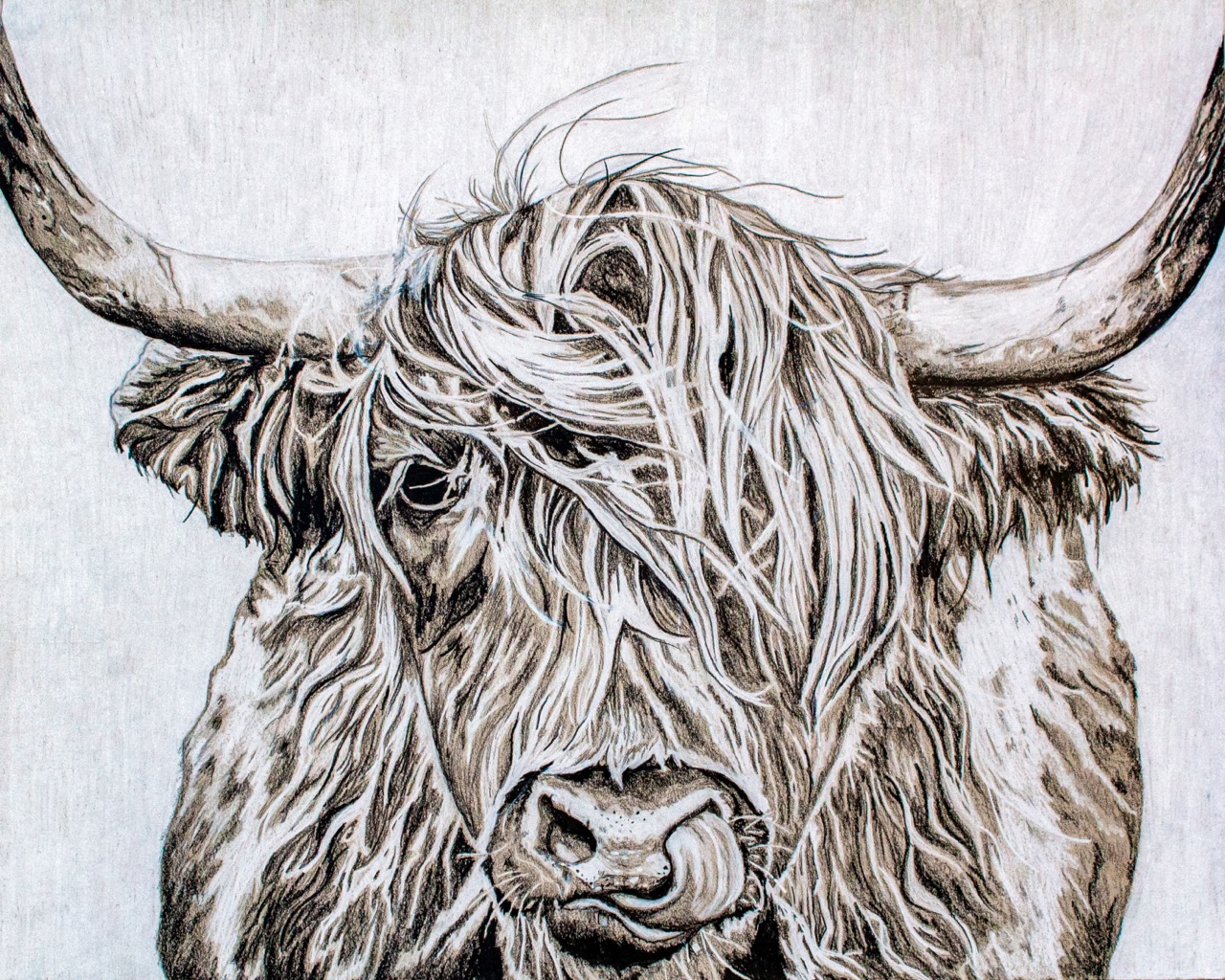 Ashley Dunham 17 Angus Large