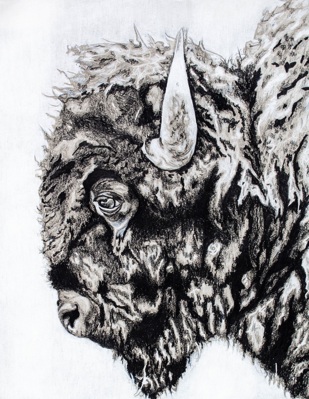 Ashley Dunham 15 Buffalo Large