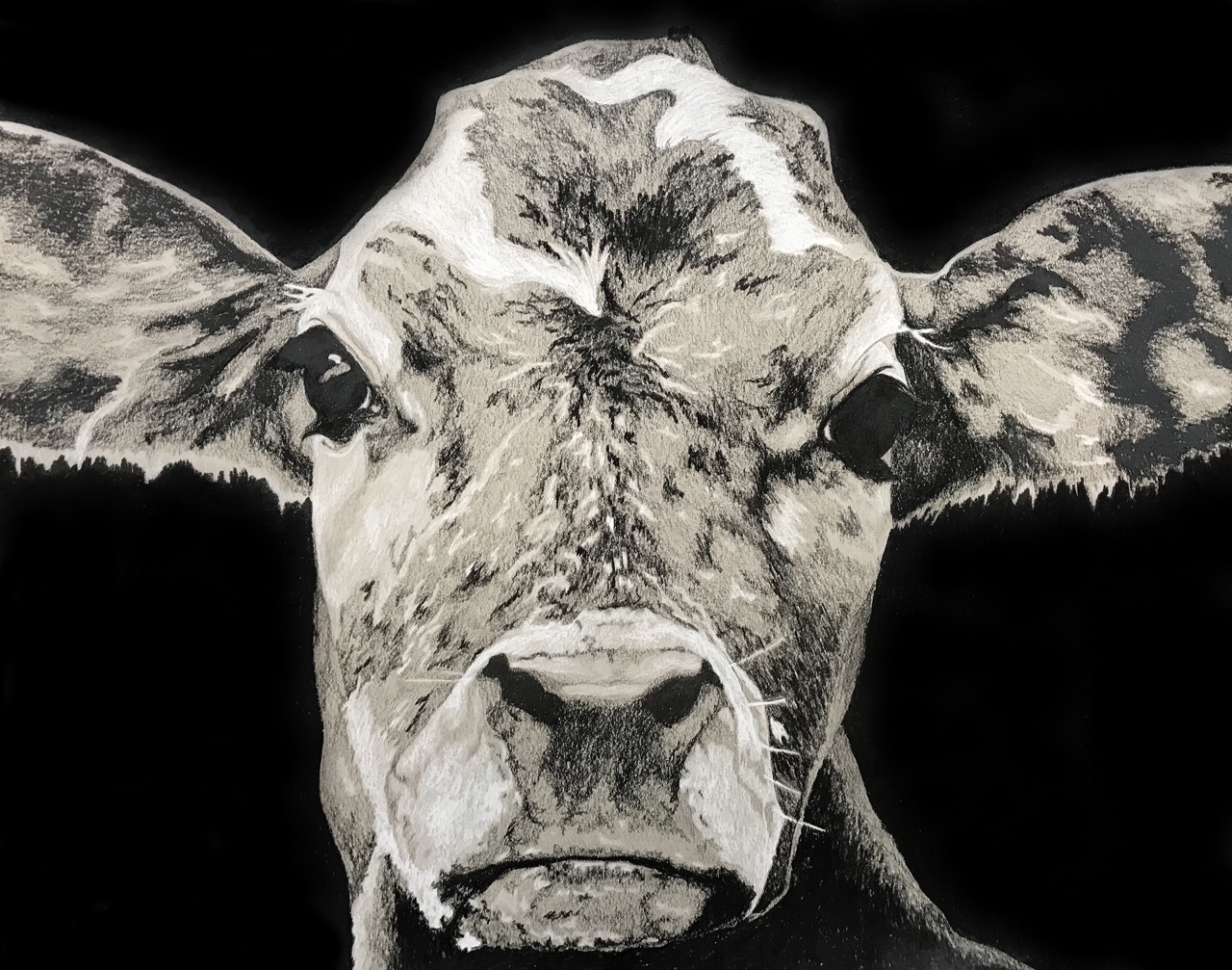 Ashley Dunham 18 Calf 7 Large