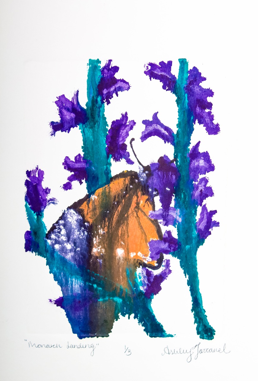 Ashley Dunham 14 Monarchlanding Large