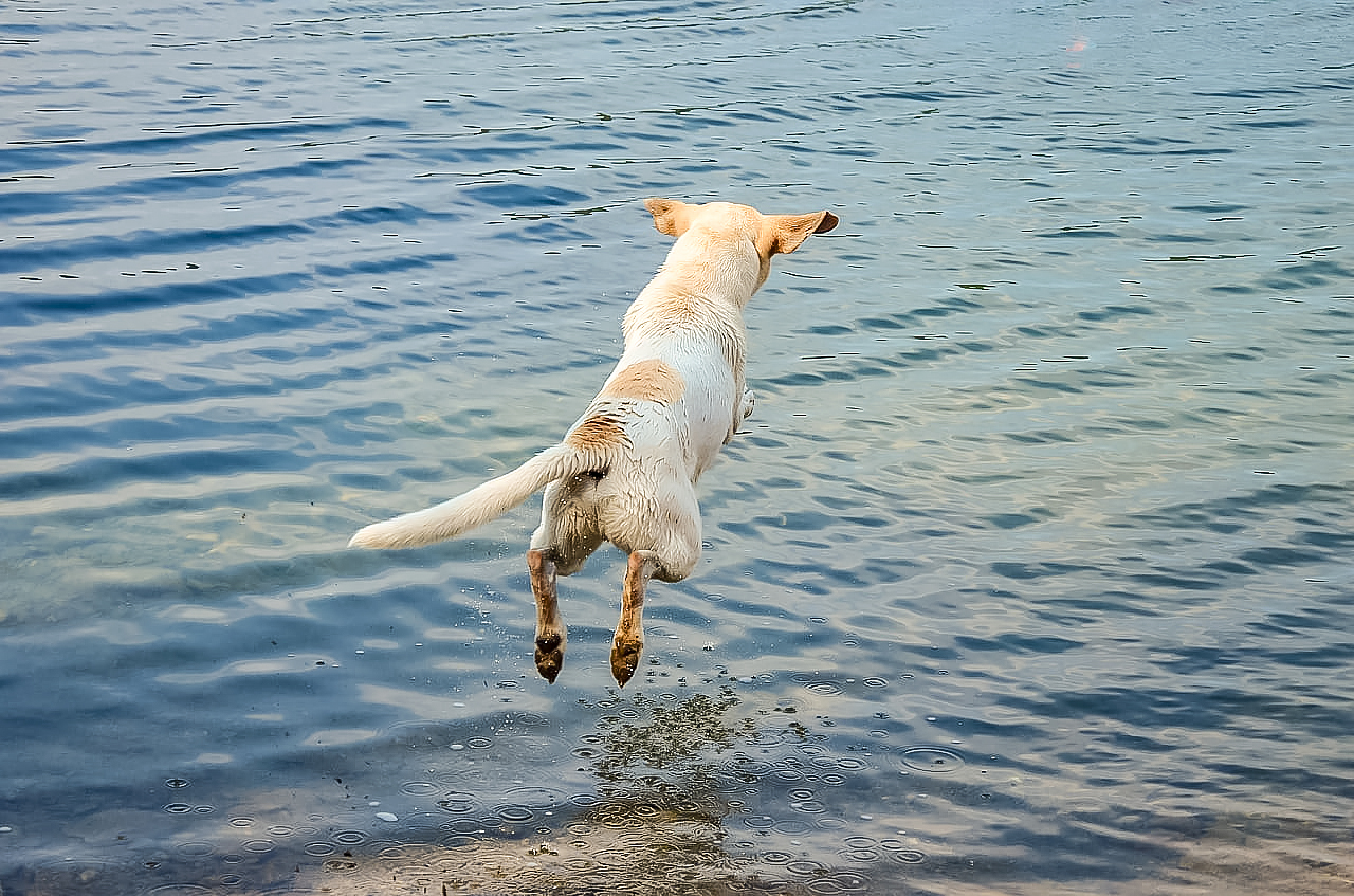 118601186 3299246700164893 5841890777472535788 N