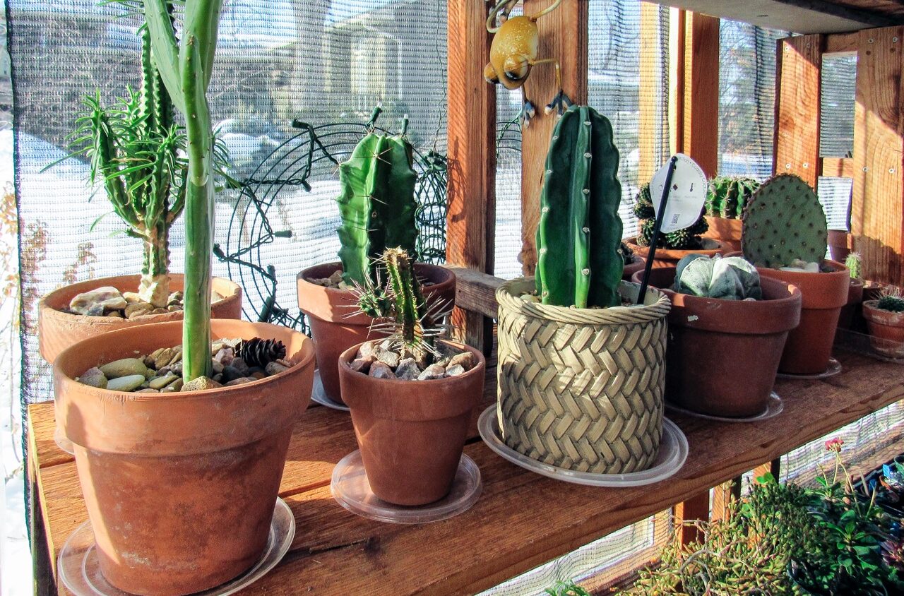 Img 1036 Large E1683728461526