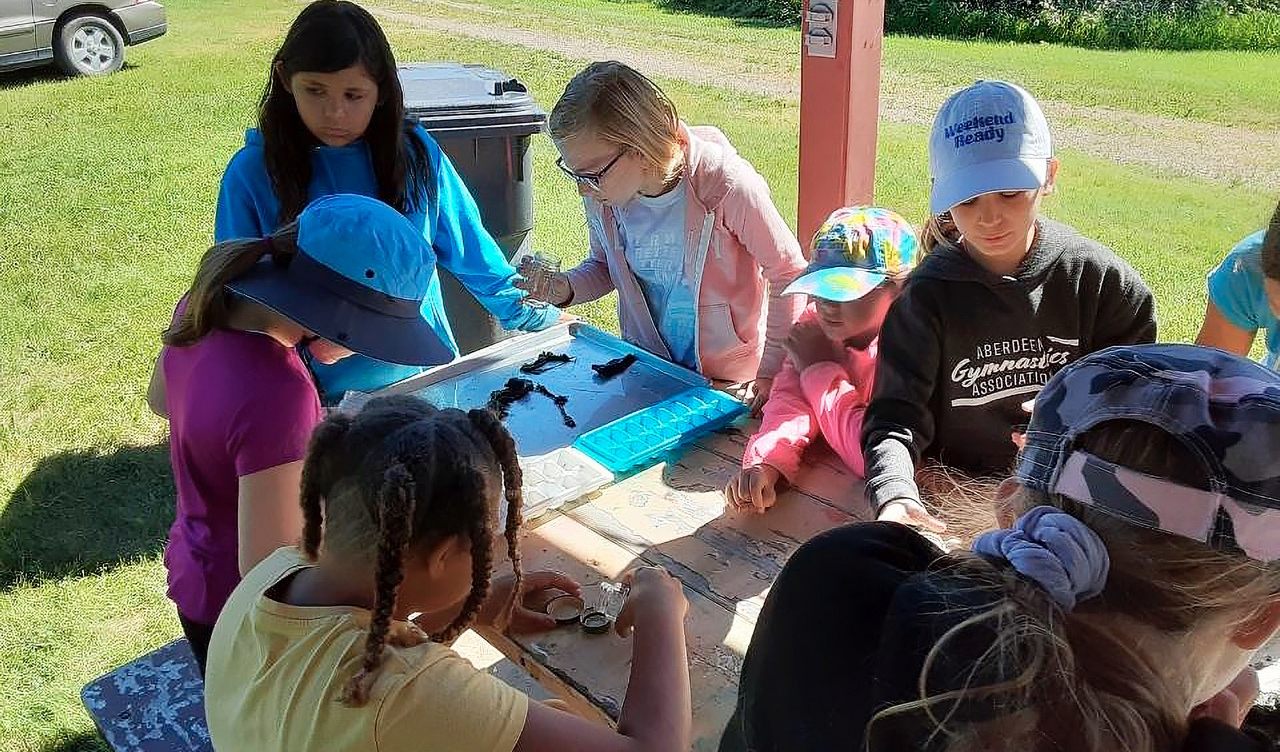 Girl Scouts Summer Campers 2 Copy Large