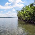 The Ultimate Lake Guide 44 Big Stone