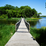 The Ultimate Lake Guide 50 Roy Lake State Park