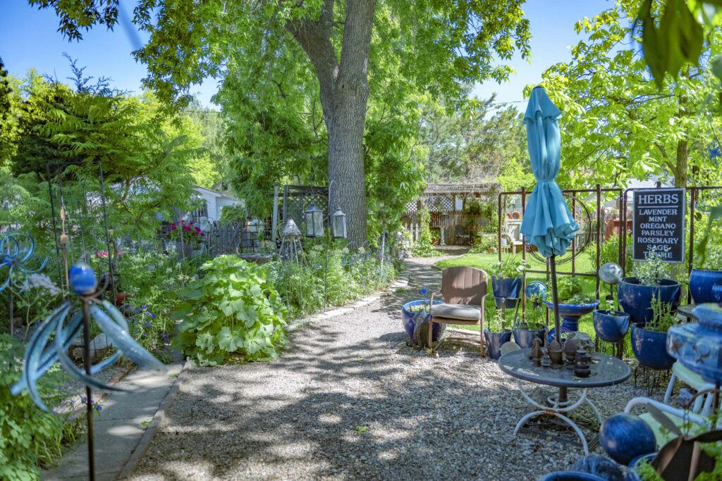 A West Hill Oasis 16 Kelly Miller Dsc 3388