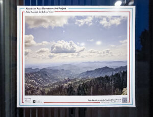 Downtown Art Project Winners Announced 14 Birds Eye View