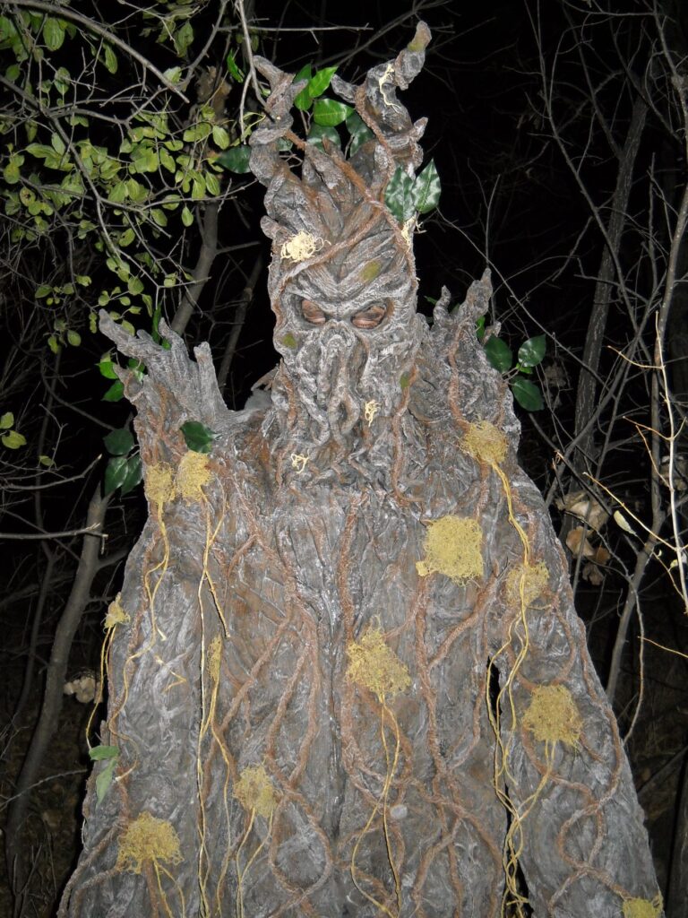 Aberdeen'S Haunted Forest: Hiding In The Trees Since 1983 18 276047116 1412520709197061 4138019120627860194 N