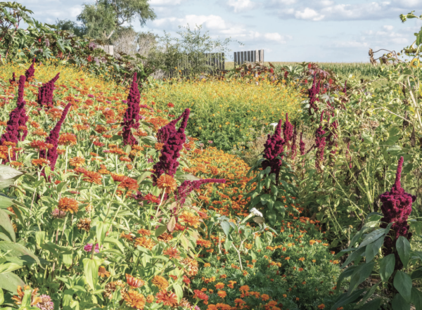 A Farmstead in Bloom